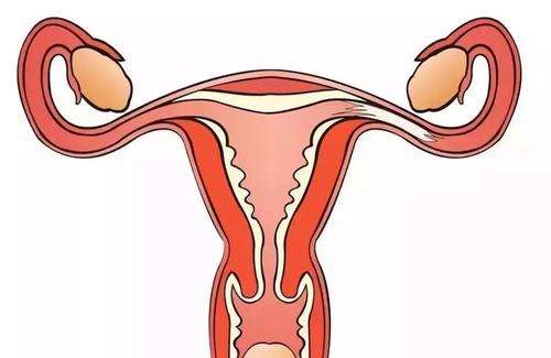 没有输卵管能怀孕吗？